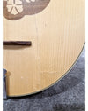 HORA Irish Bouzouki - String Instruments - Excellent - Photo 13