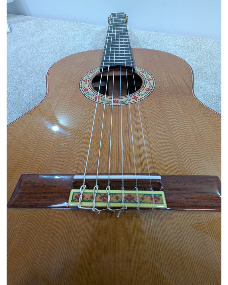 Mendieta Artisan Z - Acoustic Guitar - Excellent w/ Soft Case - image 13