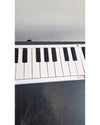 Carry On Folding Piano 88 - Keyboards - Like New w/ Power Supply, Soft Case, Sustain Pedal - Photo 2