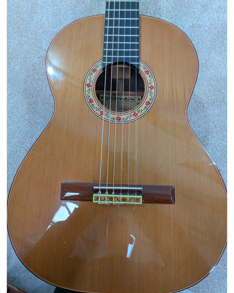 Mendieta Artisan Z - Acoustic Guitar - Excellent w/ Soft Case - image 14