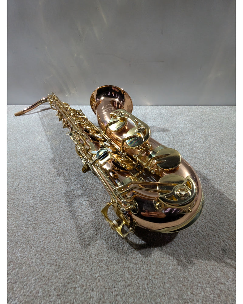 Trevor James Signature Custom Tenor Saxophone - Saxophone - Bronze With Gold-Coloured Keywork - Excellent w/ Soft Case - image 18