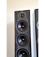 Acoustic Energy 305 - Hi-Fi Speakers - Black - Fair w/ Manuals - Image 10