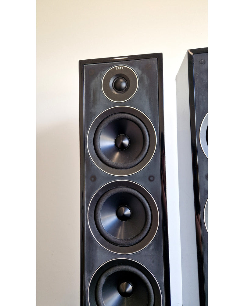 Acoustic Energy 305 - Hi-Fi Speakers - Black - Fair w/ Manuals - Image 10