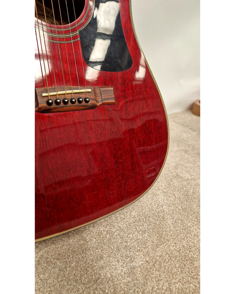 Washburn D-10 CEM/TWR - Excellent w/ strap - image 8