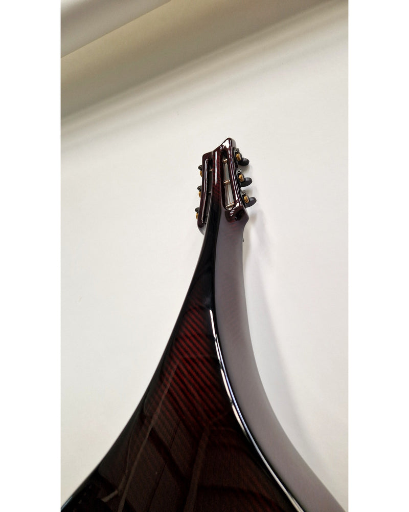 Emerald Solace Custom Run 2022 - Weissonborn - Like New w/ Hard Case - image 18