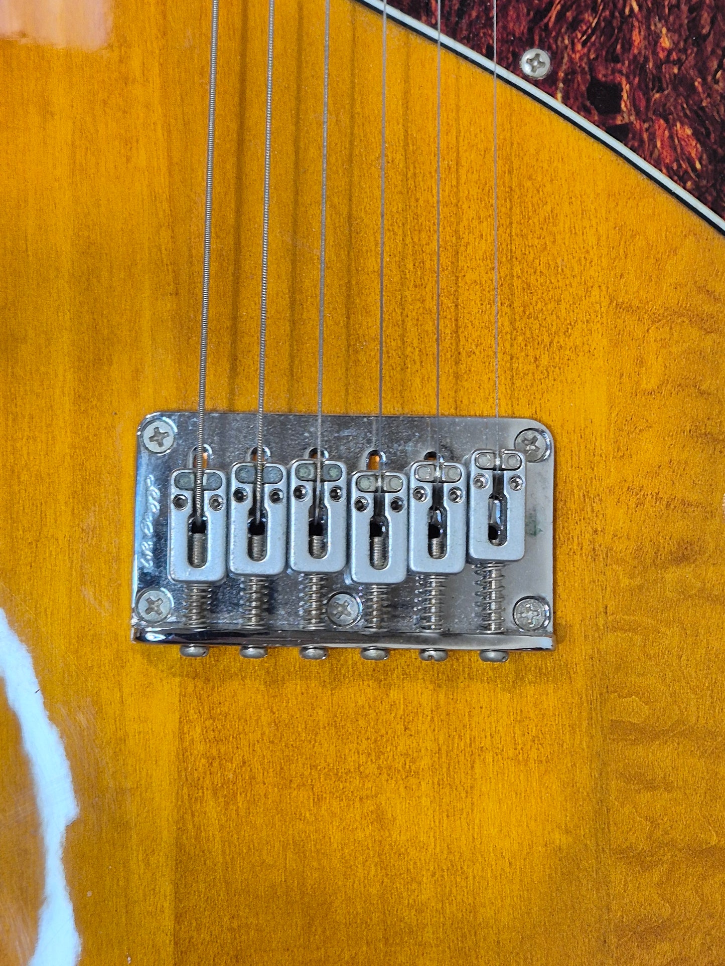 Line 6 Variax Modelling Guitar With Line 6 Soft Bag