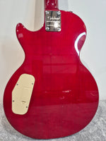 Epiphone Slash Appetite Les Paul Special-II Electric Guitar With Soft Gig Bag - Image 6