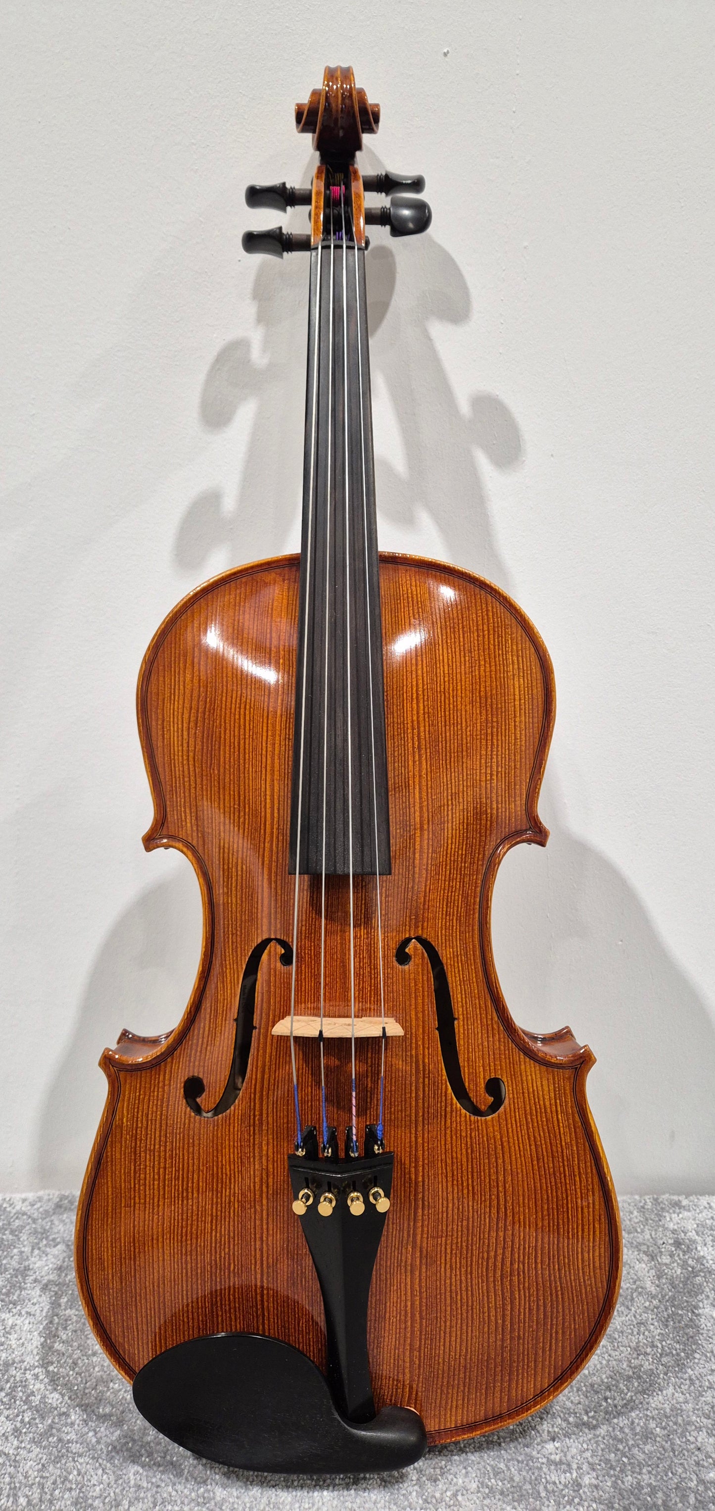 Hidersine Piacenza 1 Violin + Hard Case + 2 Quality Bows