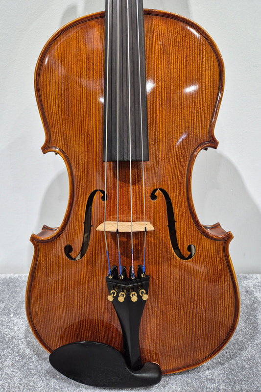 Hidersine Piacenza 1 Violin + Hard Case + 2 Quality Bows