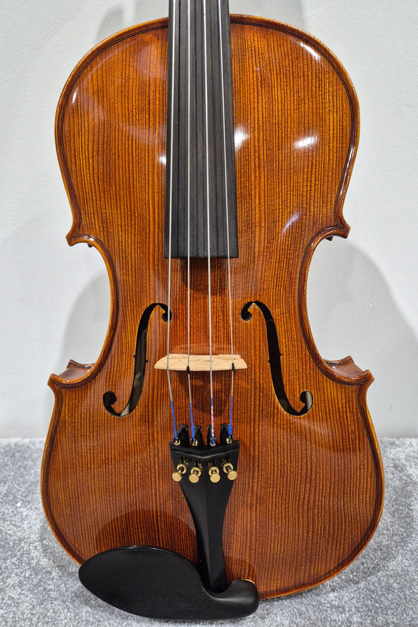 Hidersine Piacenza 1 Violin + Hard Case + 2 Quality Bows