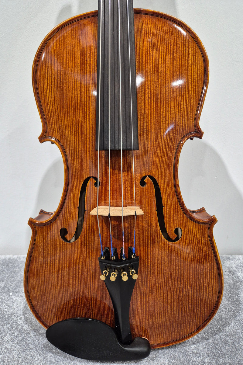 Hidersine Piacenza 1 Violin + Hard Case + 2 Quality Bows - Image 1