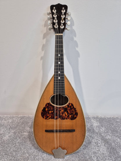 Washburn "Tater Bug" Mandolin - USA Vintage Antique