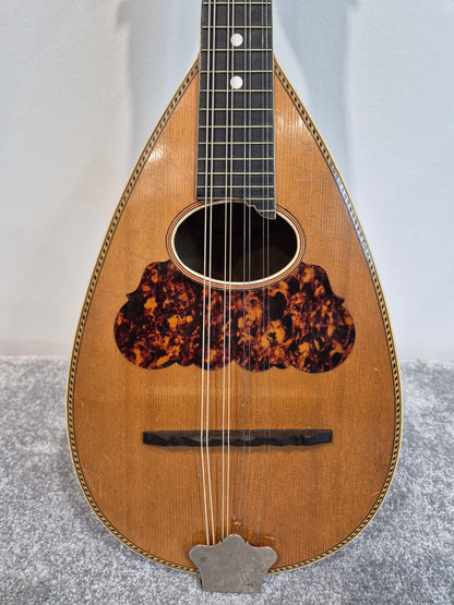 Washburn "Tater Bug" Mandolin - USA Vintage Antique