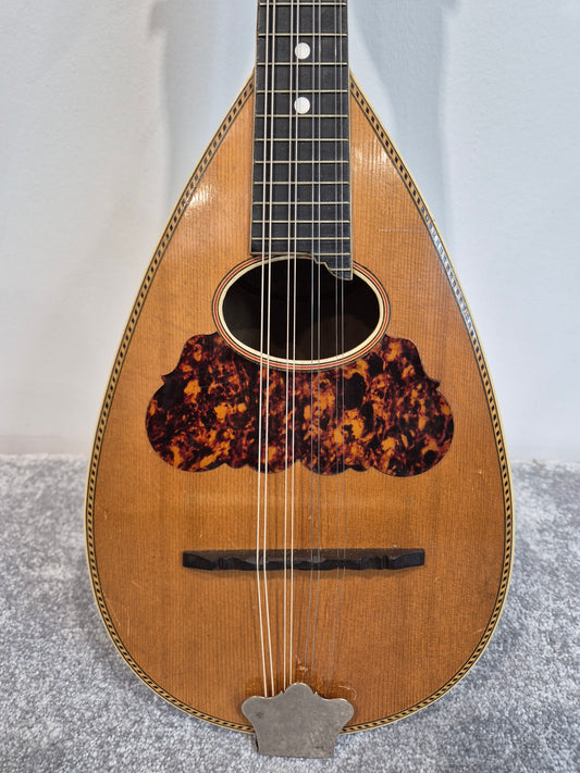 Washburn "Tater Bug" Mandolin - USA Vintage Antique