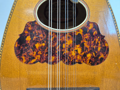 Washburn "Tater Bug" Mandolin - USA Vintage Antique