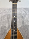 Washburn "Tater Bug" Mandolin - USA Vintage Antique - Photo 5