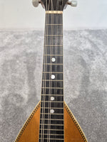 Washburn 