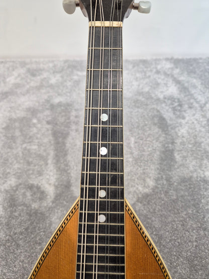 Washburn "Tater Bug" Mandolin - USA Vintage Antique