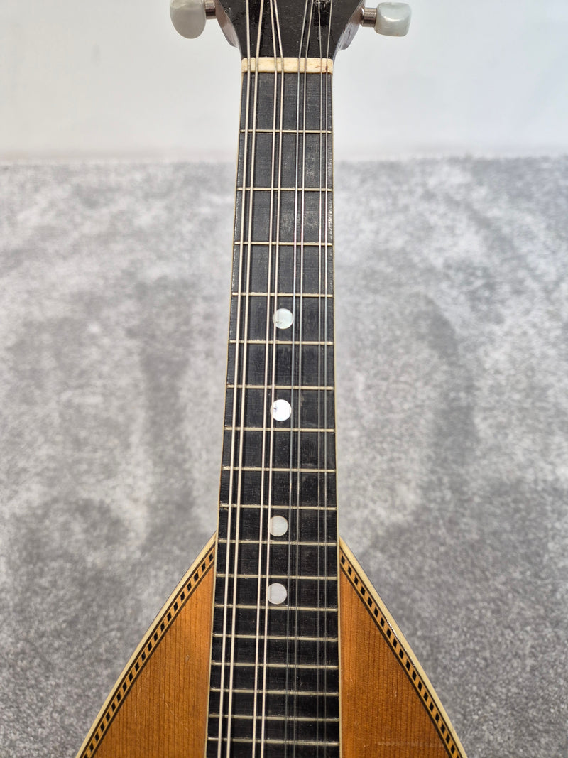 Washburn 