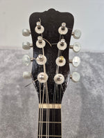 Washburn 