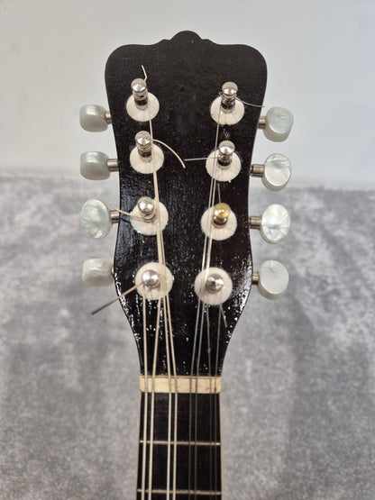 Washburn "Tater Bug" Mandolin - USA Vintage Antique