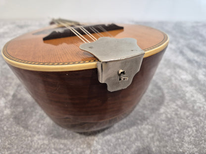 Washburn "Tater Bug" Mandolin - USA Vintage Antique