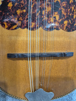 Washburn 