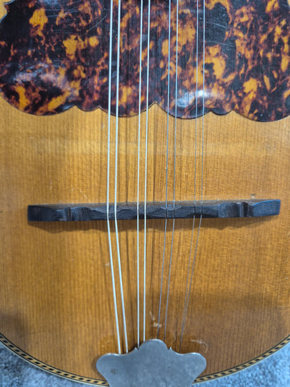 Washburn "Tater Bug" Mandolin - USA Vintage Antique