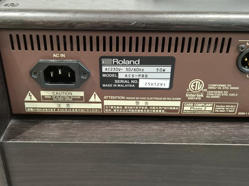 Boss Acoustic Singer Pro - 120-watt Acoustic Amplifier - Image 9