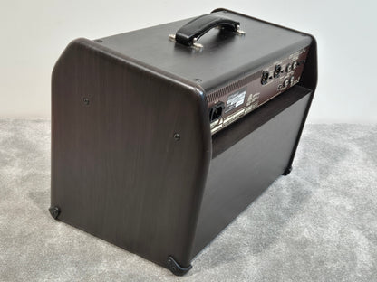 Boss Acoustic Singer Pro - 120-watt Acoustic Amplifier