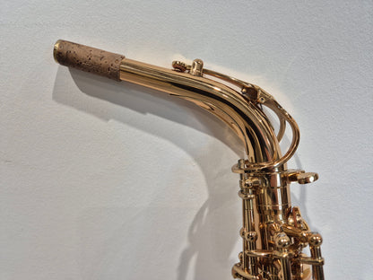 Artemis by Trevor James A1 Alto Saxophone + Artemis Soft Case