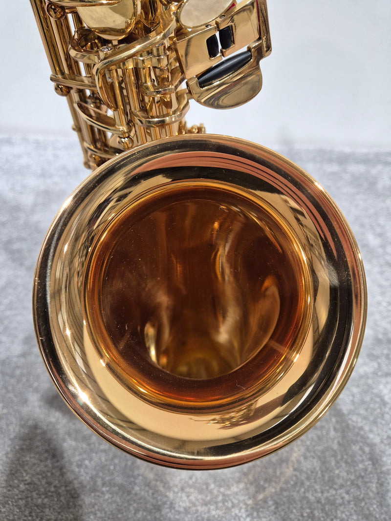 Artemis by Trevor James A1 Alto Saxophone + Artemis Soft Case - Image 8