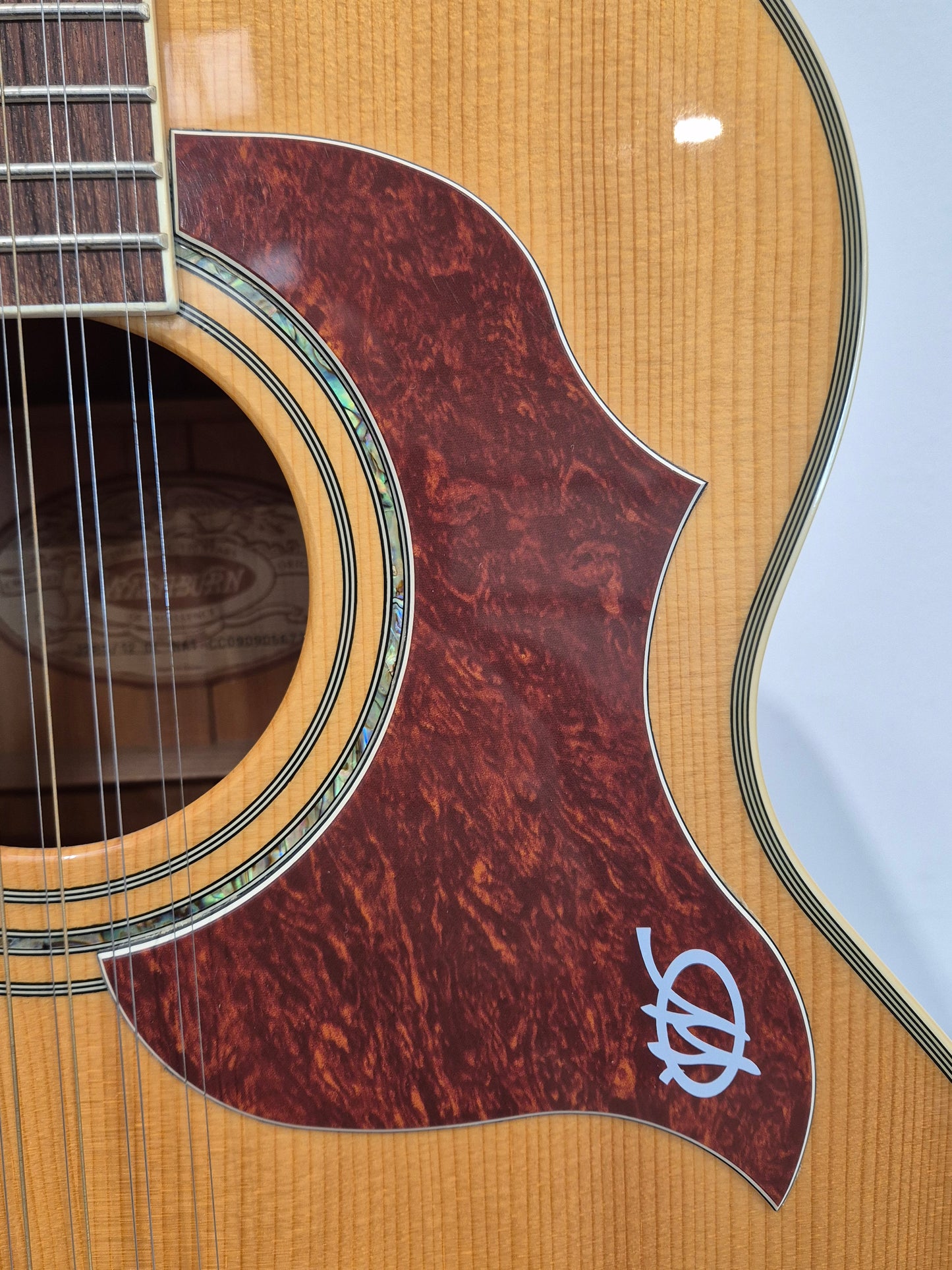 Washburn Cumberland J28S12DL - 12-String Acoustic Guitar w/ Soft Gig Bag