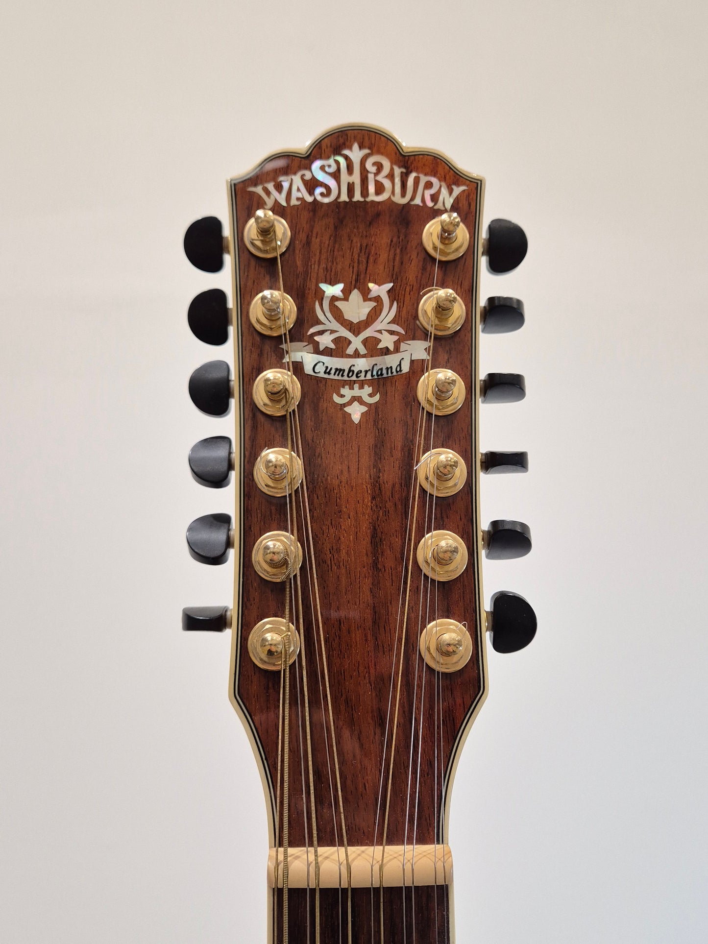 Washburn Cumberland J28S12DL - 12-String Acoustic Guitar w/ Soft Gig Bag