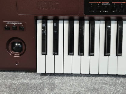 Korg PA1000 Professional Arranger - 61-keys Semi-Weighted Keyboard w/ Original Box