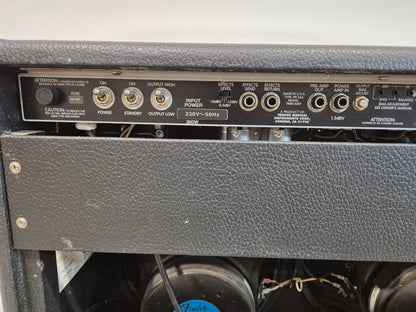Fender Twin Amp - 100-watts Versatile Guitar Amplifier