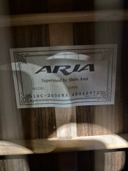Aria A19C-200N - Classical Acoustic Parlor Guitar