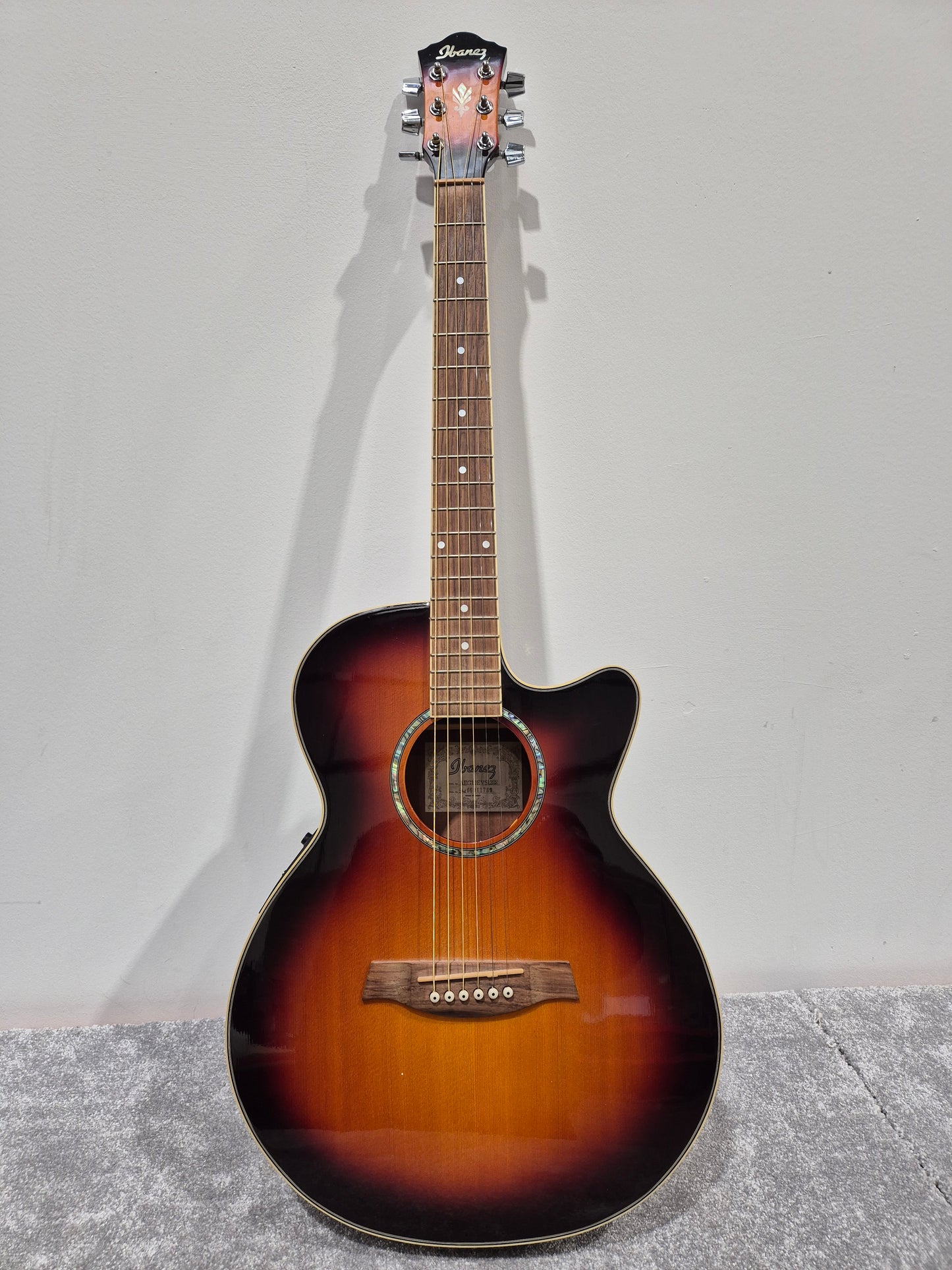 Ibanez AEG10EVS1202 - Electro Acoustic Guitar w/ Soft Gig Bag