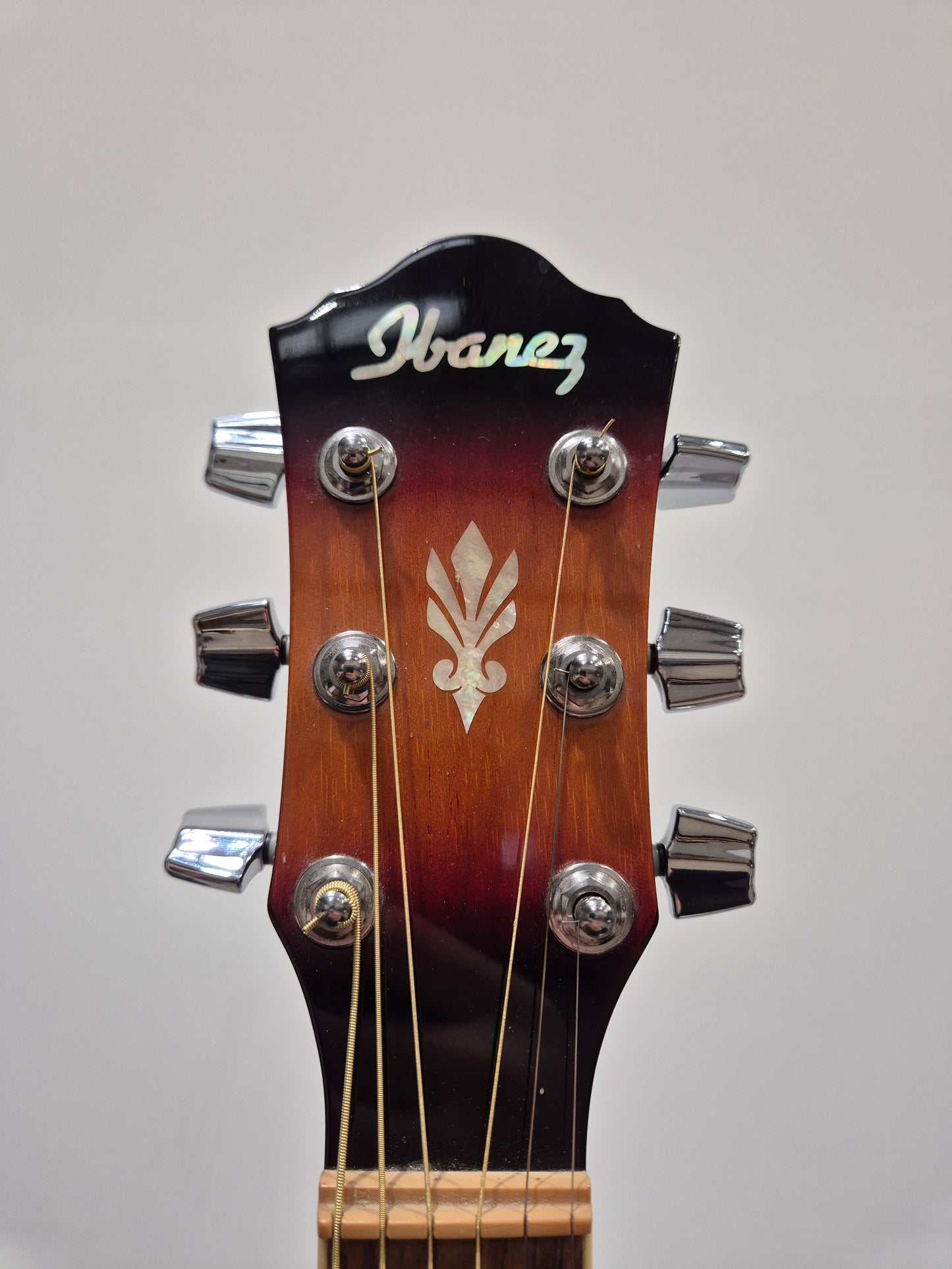 Ibanez AEG10EVS1202 - Electro Acoustic Guitar w/ Soft Gig Bag