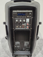 SubZero P12A - 250-watts 12