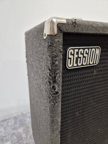 Sessionette Bass Combo - 100-watt Amplifier