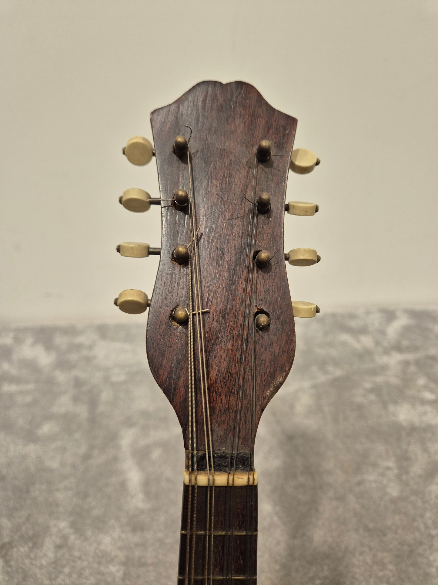 Alfredo Albertini No.65 - Bowl Back Mandolin w/ Hard Case