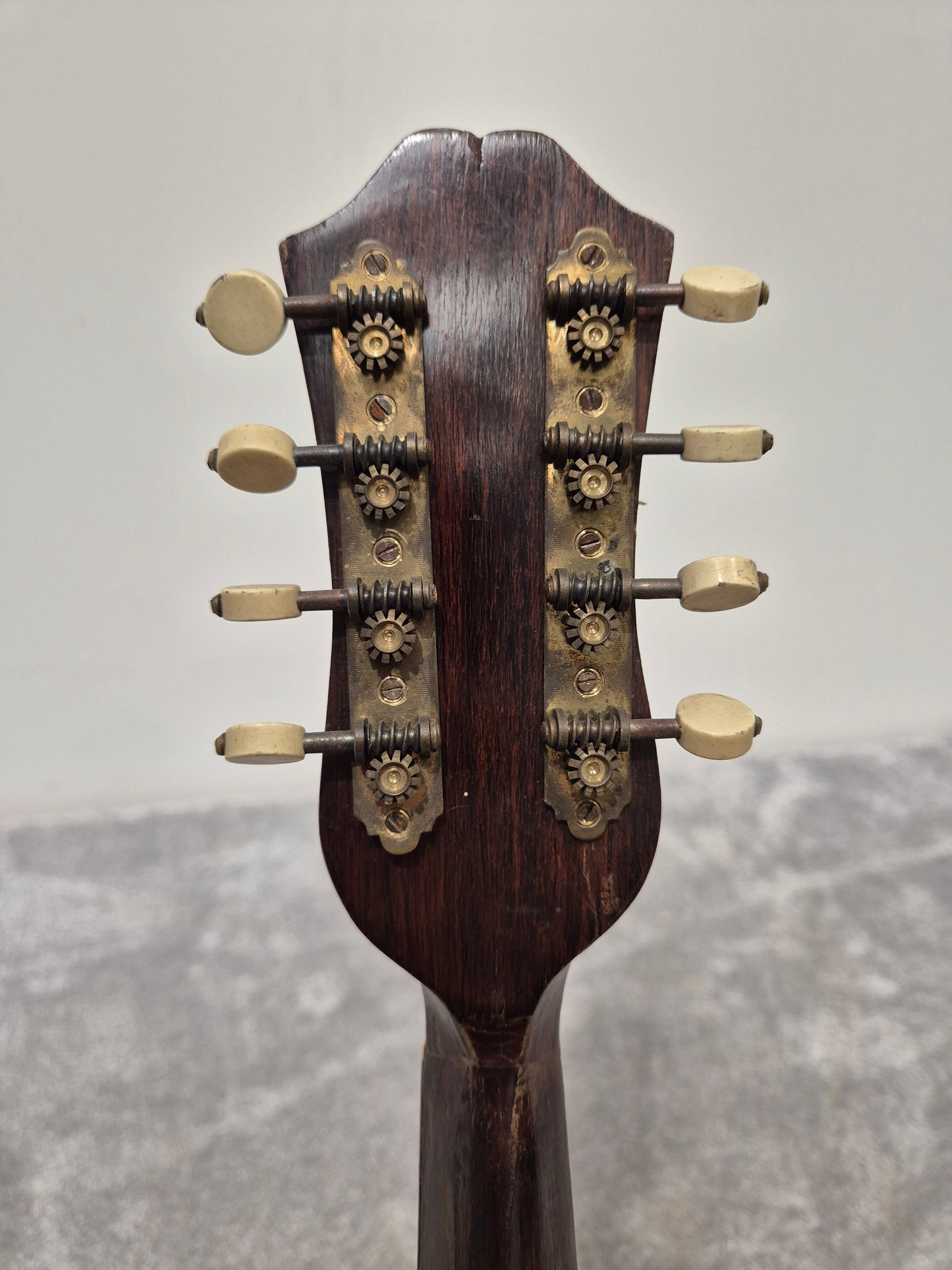 Alfredo Albertini No.65 - Bowl Back Mandolin w/ Hard Case