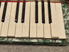 Alvari Accordion - 25-key Accordion w/ Hard Case - Photo 7