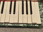 Alvari Accordion - 25-key Accordion w/ Hard Case - Image 7