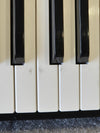 Casio Privia PX-330BK - 88-Key Digital Piano - Photo 7
