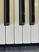 Casio Privia PX-330BK - 88-Key Digital Piano - Image 7