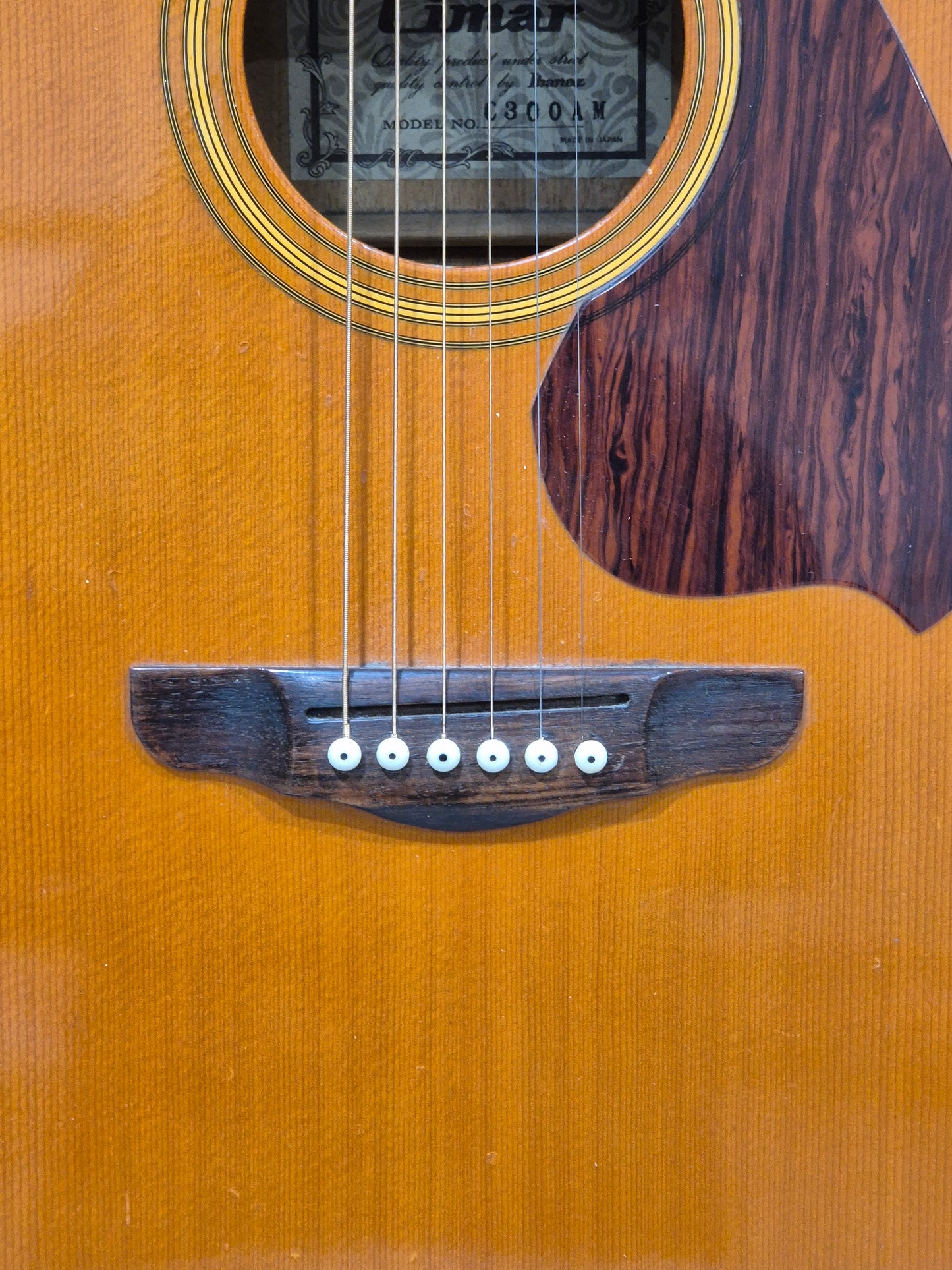 Cimar C300AM - Acoustic Guitar