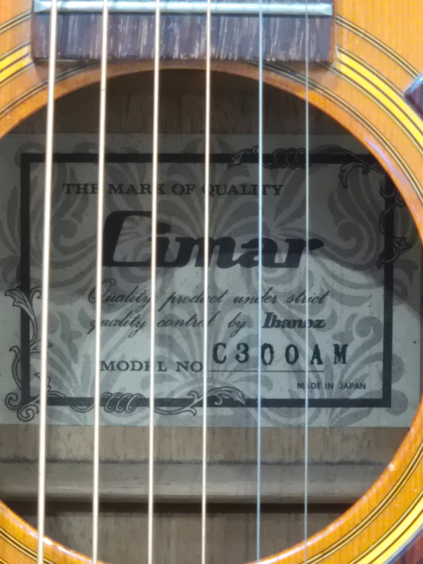 Cimar C300AM - Acoustic Guitar