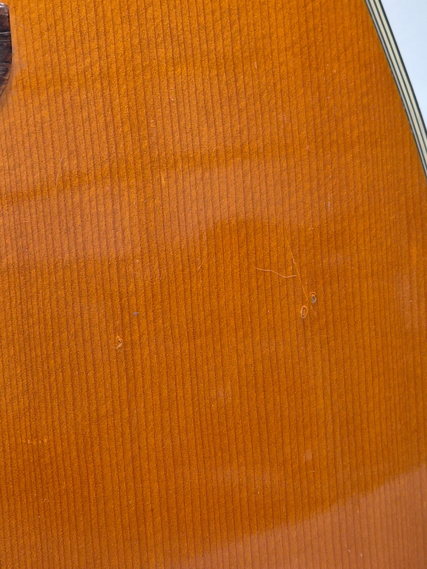 Cimar C300AM - Acoustic Guitar